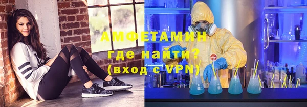 ешки Болотное